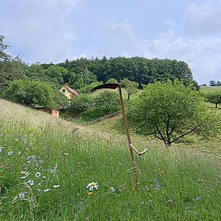 Ferienhaus Grabenhansl 스터든버그 외부 사진
