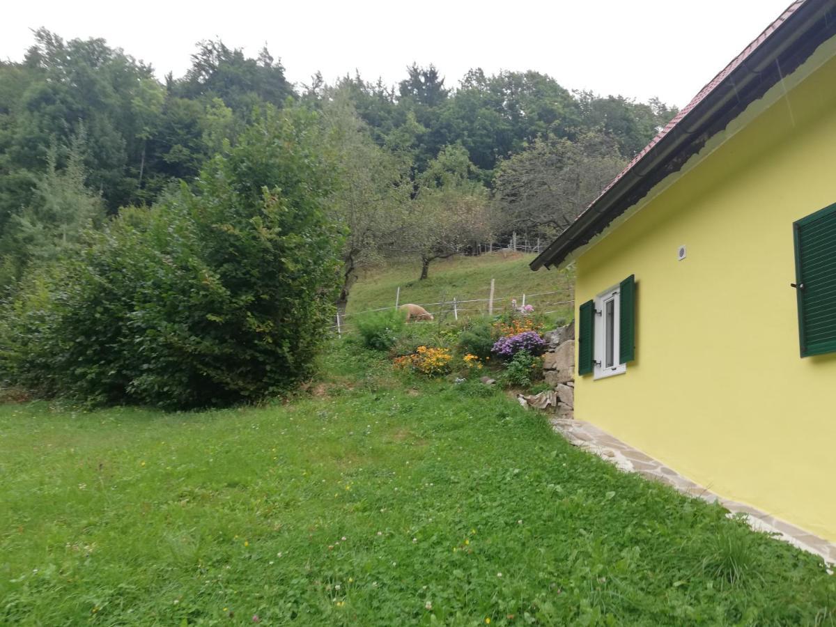Ferienhaus Grabenhansl 스터든버그 외부 사진