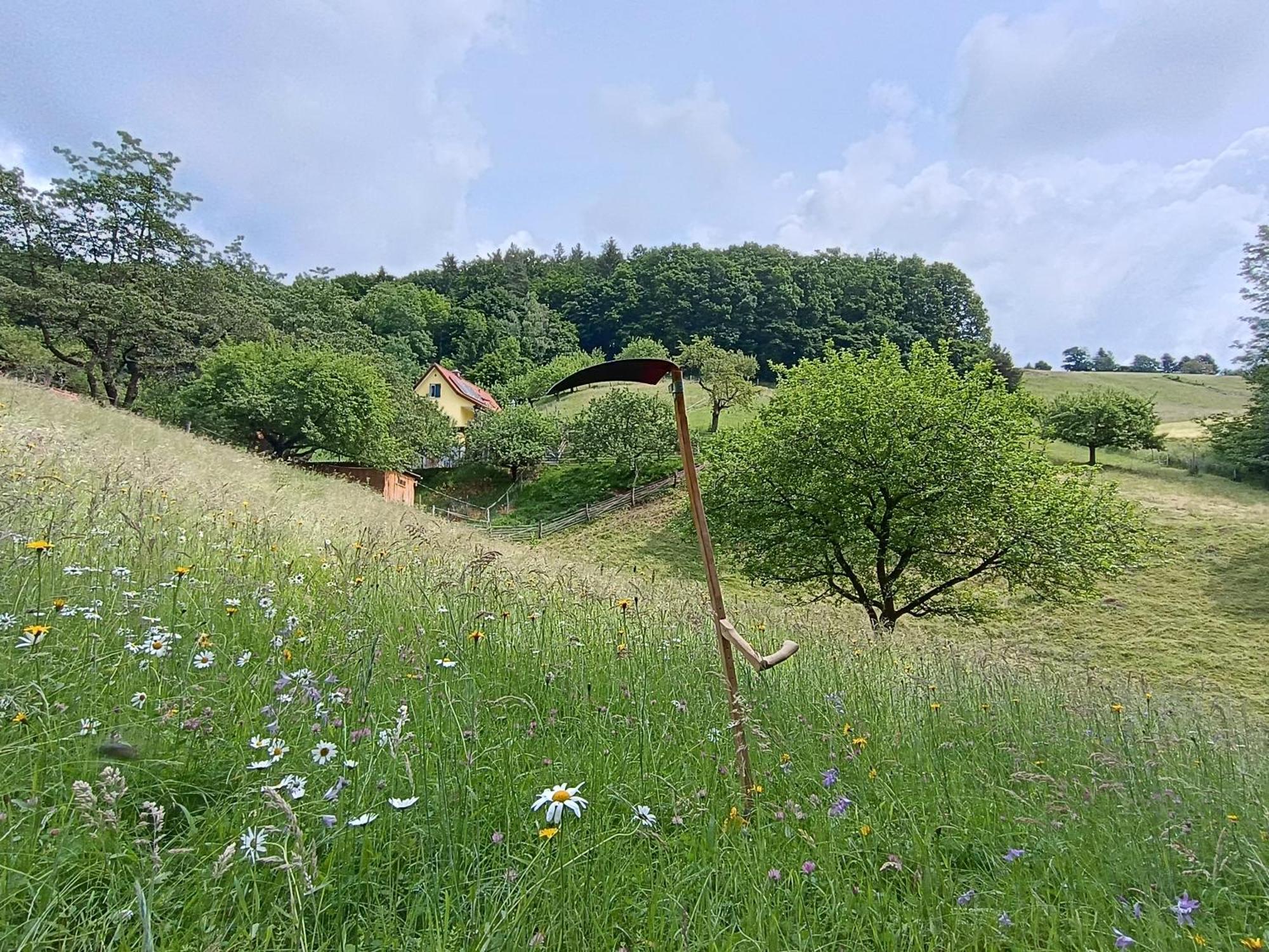 Ferienhaus Grabenhansl 스터든버그 외부 사진