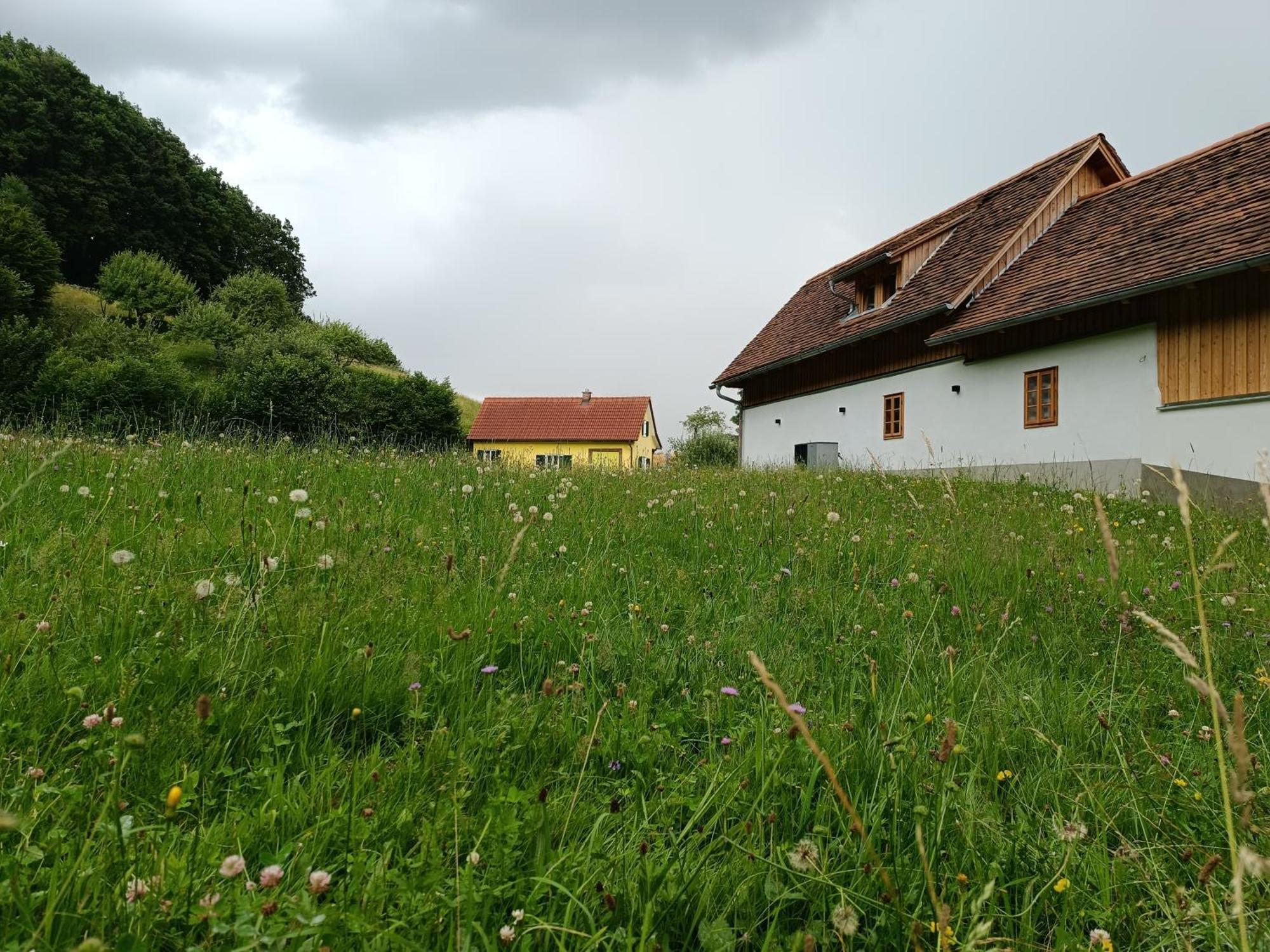 Ferienhaus Grabenhansl 스터든버그 외부 사진