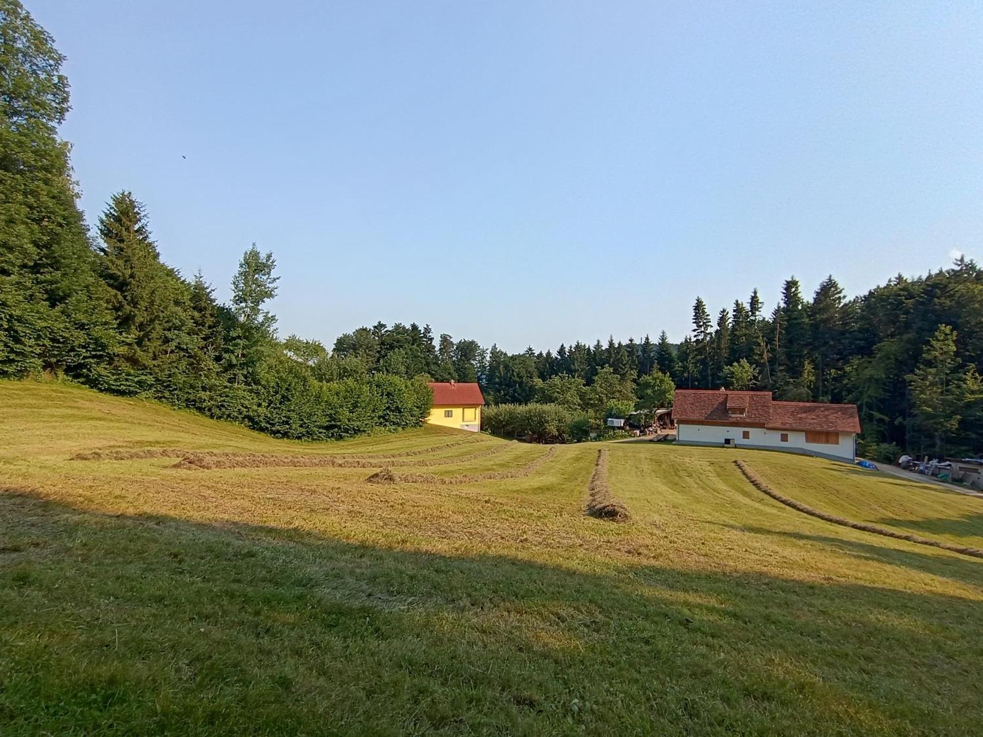 Ferienhaus Grabenhansl 스터든버그 외부 사진