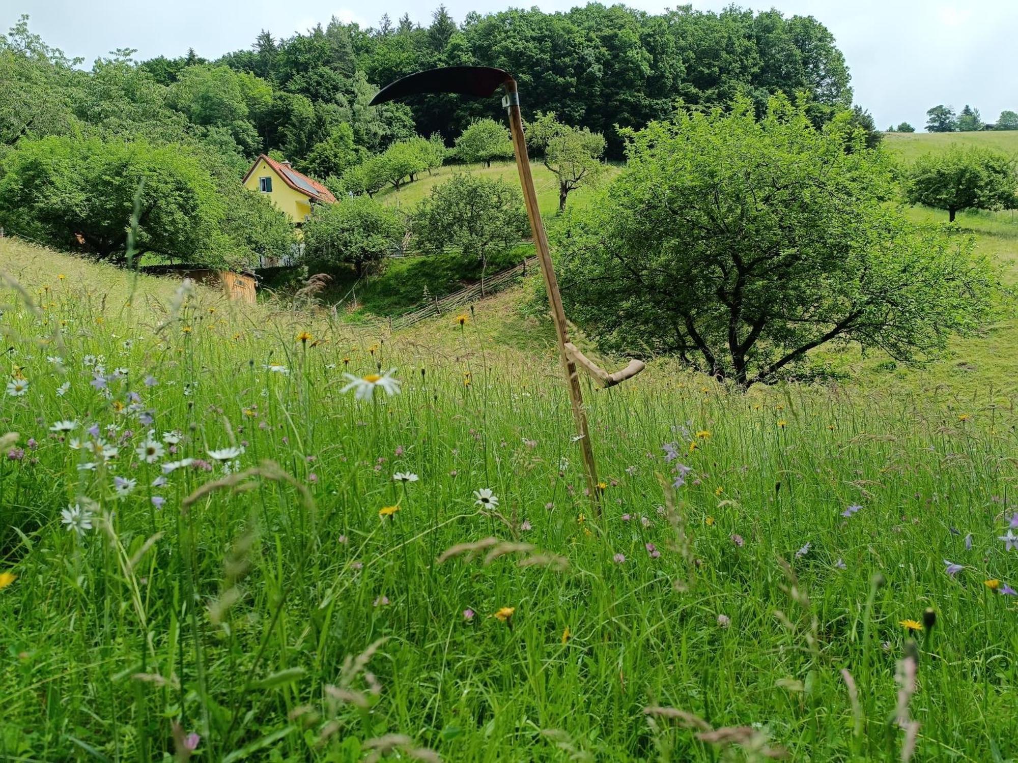 Ferienhaus Grabenhansl 스터든버그 외부 사진